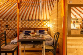 Dream By The Stream In A Yurt - Happy Rentals